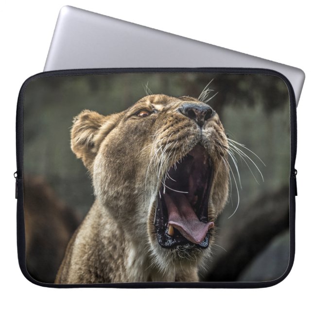 LIONESS YAWNING LAPTOP SLEEVE (Voorkant)