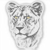 Lioness Yellow Eyes Sticker (Voorkant)