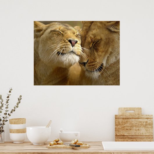 Lionesses Poster (Keuken)