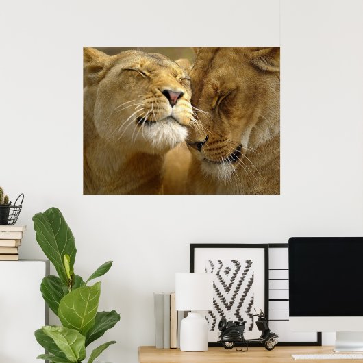 Lionesses Poster (Thuiskantoor)
