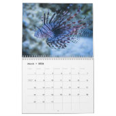 Lionfish 2025 kalender (Mar 2026)