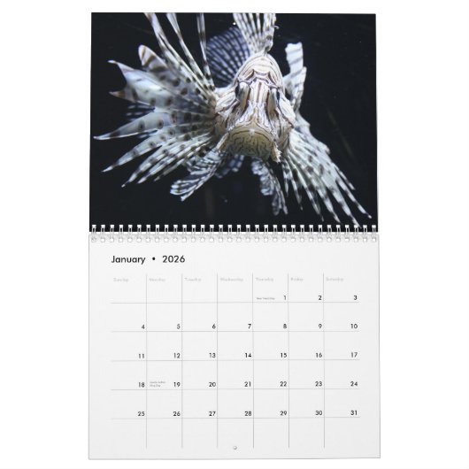 Lionfish 2025 kalender (Jan 2026)