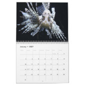 Lionfish 2025 kalender (Jan 2027)