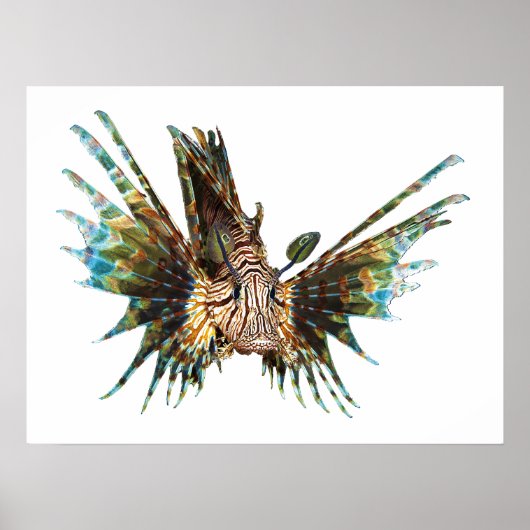 Lionfish - Abstract Ontwerp - Knippen uit een foto Poster (Voorkant)