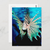 Lionfish Beauty Briefkaart (Voorkant / Achterkant)