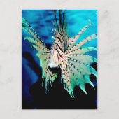 Lionfish Beauty Briefkaart (Voorkant)