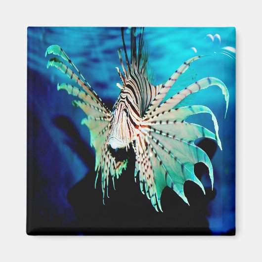 Lionfish Beauty Magneet (Voorkant)