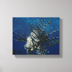 Lionfish in de oceaan Canvas Afdruk
