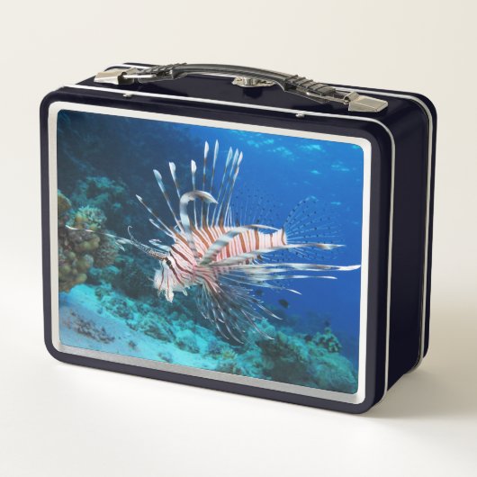 Lionfish of Pterois Miles, Ocean Reef Fish (Achterkant)