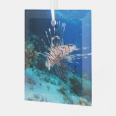 Lionfish of Pterois Miles, Ocean Reef Fish Glas Ornament (Voorkant links)