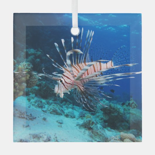 Lionfish of Pterois Miles, Ocean Reef Fish Glas Ornament (Voorkant)