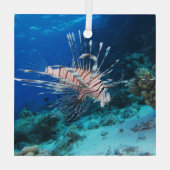 Lionfish of Pterois Miles, Ocean Reef Fish Glas Ornament (Achterkant)