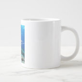 Lionfish of Pterois Miles, Ocean Reef Fish Grote Koffiekop (Rechts)