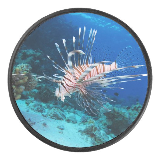 Lionfish of Pterois Miles, Ocean Reef Fish Hockey Puck (Voorkant)