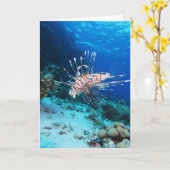 Lionfish of Pterois Miles, Ocean Reef Fish Kaart (Gele Bloem)