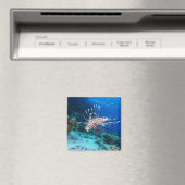 Lionfish of Pterois Miles, Ocean Reef Fish Magneet (Insitu (Vaatwasser))