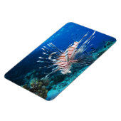 Lionfish of Pterois Miles, Ocean Reef Fish Magneet (Linkerzijde)