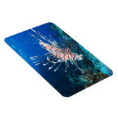 Lionfish of Pterois Miles, Ocean Reef Fish Magneet (Rechterzijde)