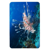 Lionfish of Pterois Miles, Ocean Reef Fish Magneet (Verticaal)