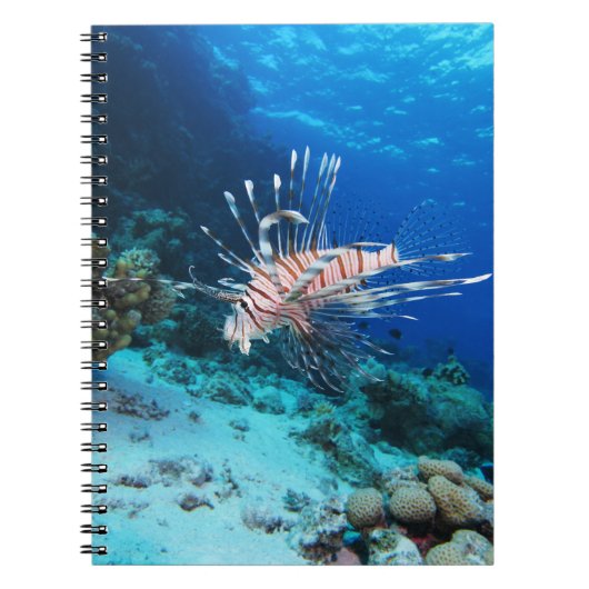 Lionfish of Pterois Miles, Ocean Reef Fish Notitieboek (Voorkant)