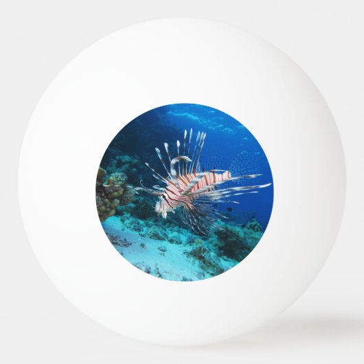 Lionfish of Pterois Miles, Ocean Reef Fish Pingpongbal (Achterkant)