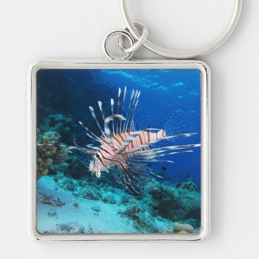 Lionfish of Pterois Miles, Ocean Reef Fish Sleutelhanger (Voorkant)