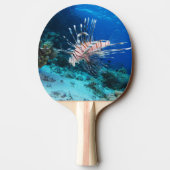 Lionfish of Pterois Miles, Ocean Reef Fish Tafeltennisbatje (Achterkant)