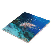 Lionfish of Pterois Miles, Ocean Reef Fish Tegeltje (Zijkant)