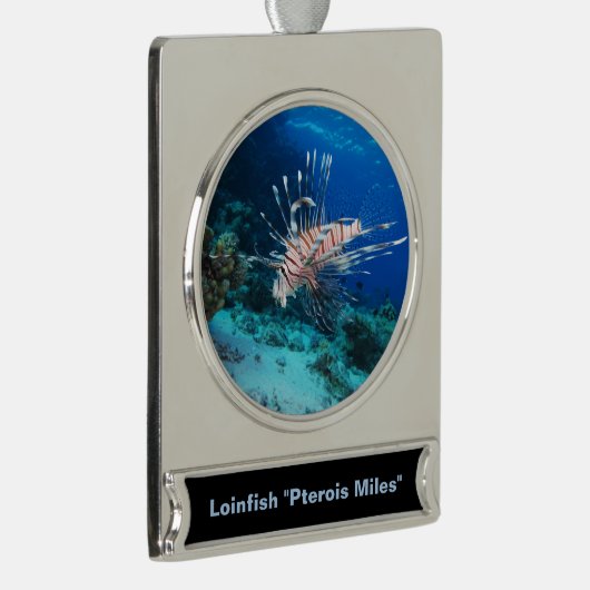 Lionfish of Pterois Miles, Ocean Reef Fish Verzilverd Banner Ornament (Rechts)