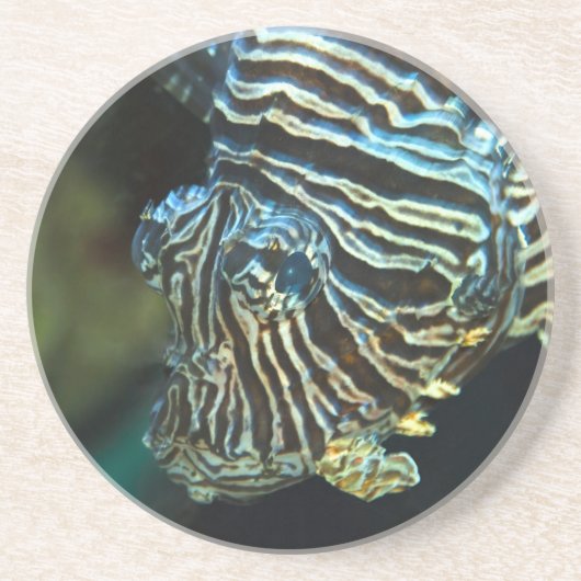 Lionfish Onderzetter (Voorkant)