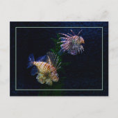 Lionfish Pair Postcards Briefkaart (Voorkant)