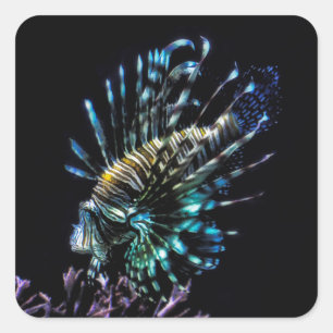 Lionfish zwemt vierkante sticker