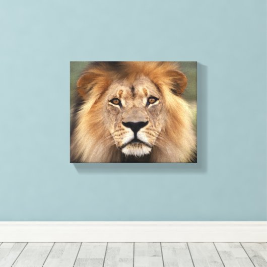 Lionfoto Canvas Afdruk (Insitu (Houten vloer))