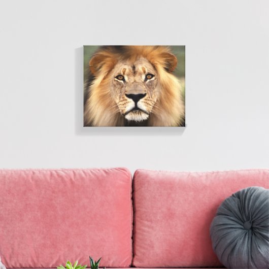 Lionfoto Canvas Afdruk (Insitu (Woonkamer))