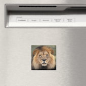 Lionfoto Magneet (Insitu (Vaatwasser))