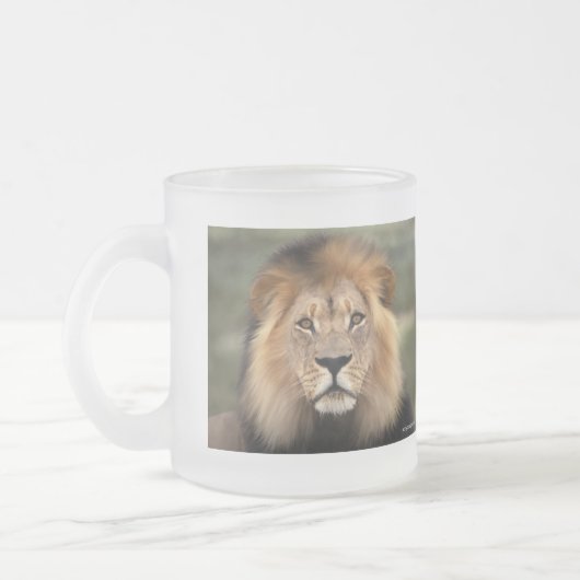 Lionfoto Matglas Koffiemok (Links)