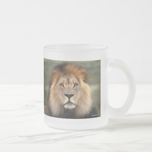 Lionfoto Matglas Koffiemok (Rechts)
