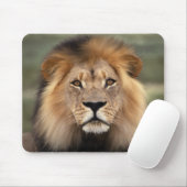 Lionfoto Muismat (Met muis)