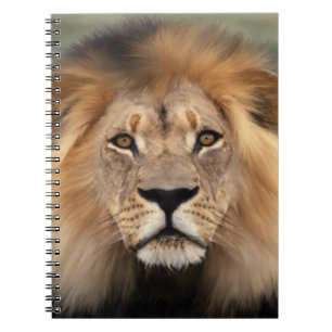 Lionfoto Notitieboek