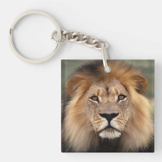 Lionfoto Sleutelhanger (voorkant)