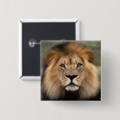 Lionfoto Vierkante Button 5,1 Cm (Voorkant /achterkant)