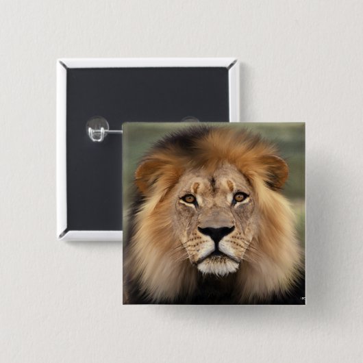 Lionfoto Vierkante Button 5,1 Cm (Voorkant /achterkant)