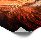 Lionfrequentie Poster (Hoek)