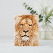 Liongezicht Briefkaart (Staand voorkant)