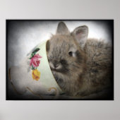 Lionhead Bunny en Teacup Poster (Voorkant)