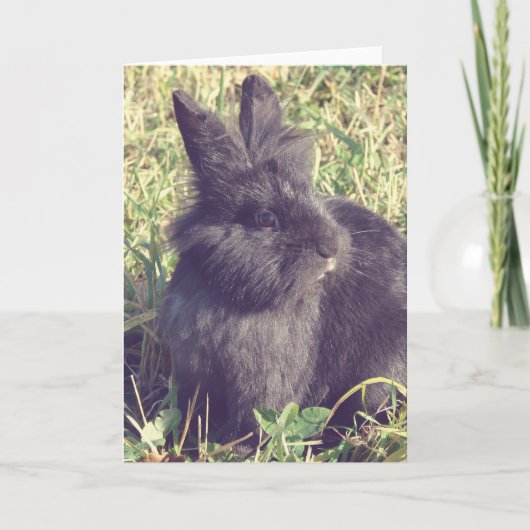 Lionhead Bunny Faux Vintage Kaart (Voorkant)