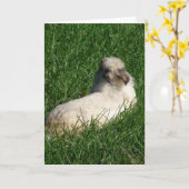 Lionhead Bunny in de gras Kaart (Gele Bloem)
