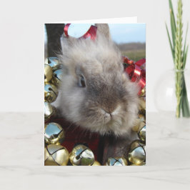 Lionhead Bunny Kerstmis Feestdagen Kaart