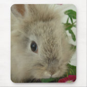 Lionhead Bunny Muismat (Voorkant)