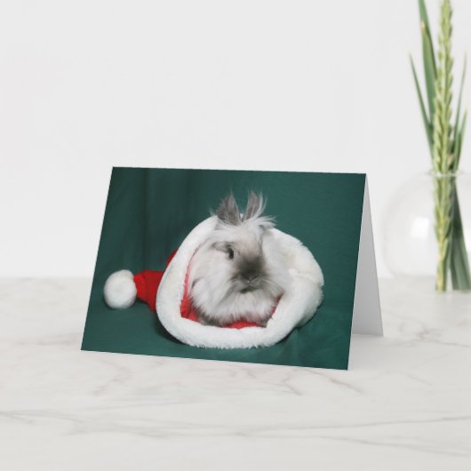 Lionhead Bunny Santa Feestdagen Kaart (Voorkant)